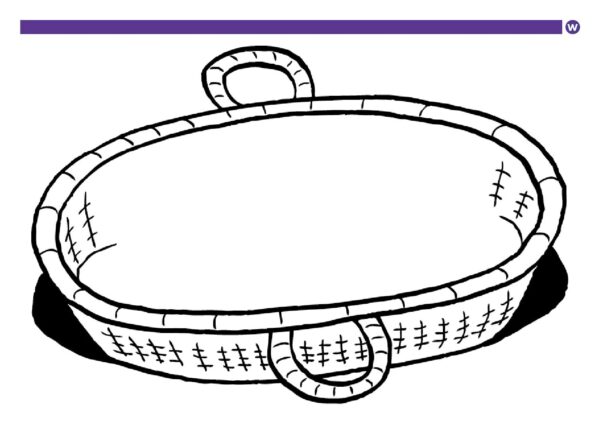 Moses basket outline pdf
