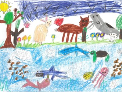 Niamh Age 6 Ramsey Manor Lower School Why do animals matter