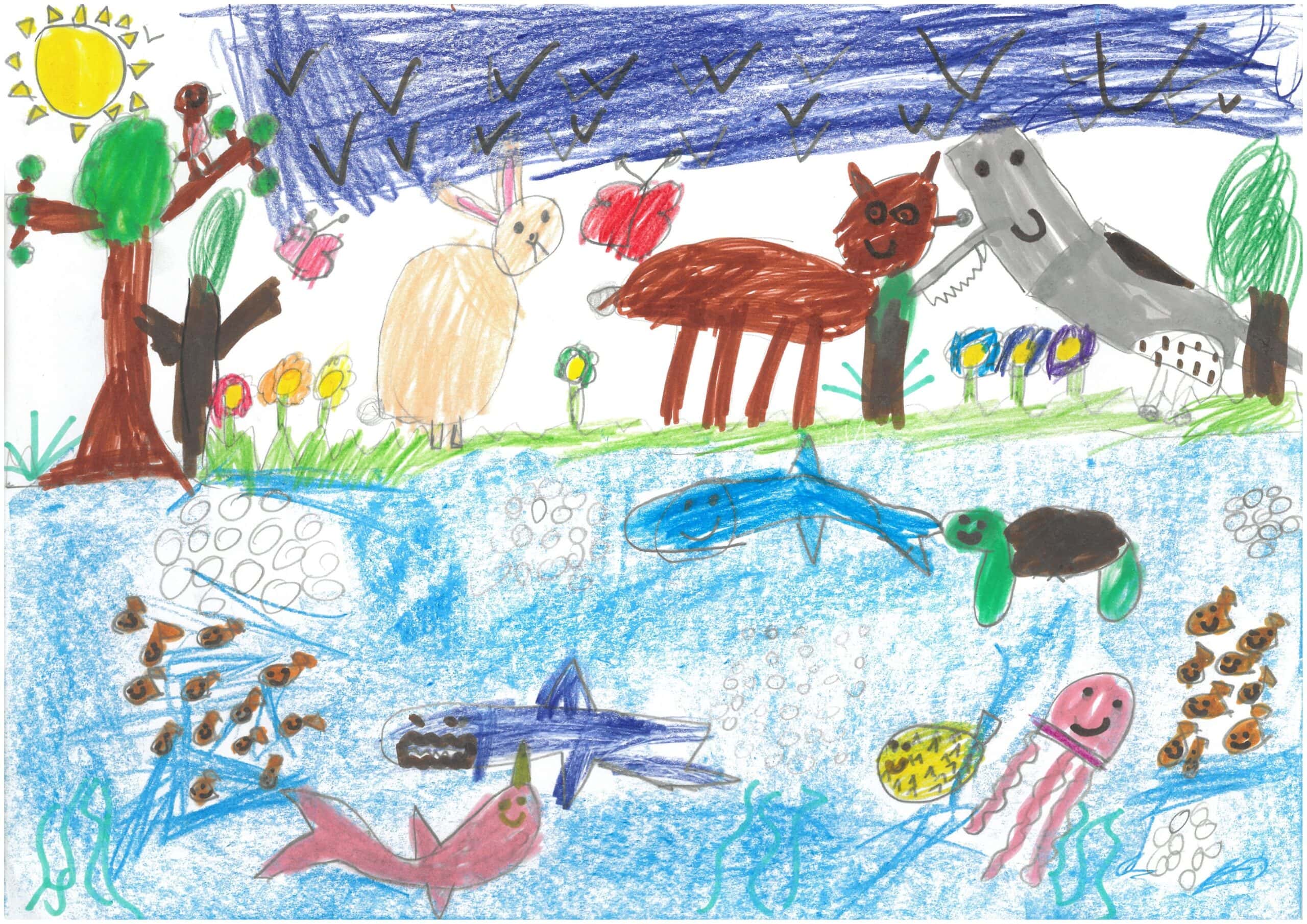 Niamh Age 6 Ramsey Manor Lower School Why do animals matter scaled
