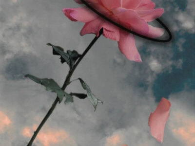 Pahul 12 Dr Challoners High School GGE WEB