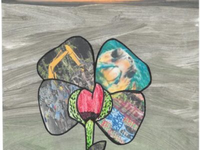 Poppy 5 Berro C of E primary School GGE WEB