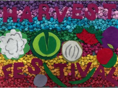 Poppy 8 Bishop Cornish School I WEB