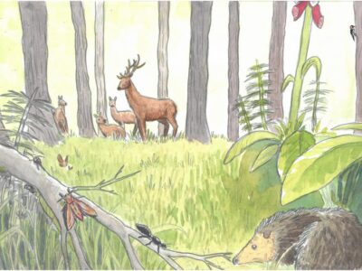 Ross and Leon 12 St Peters C of E Aided School GGE WEB