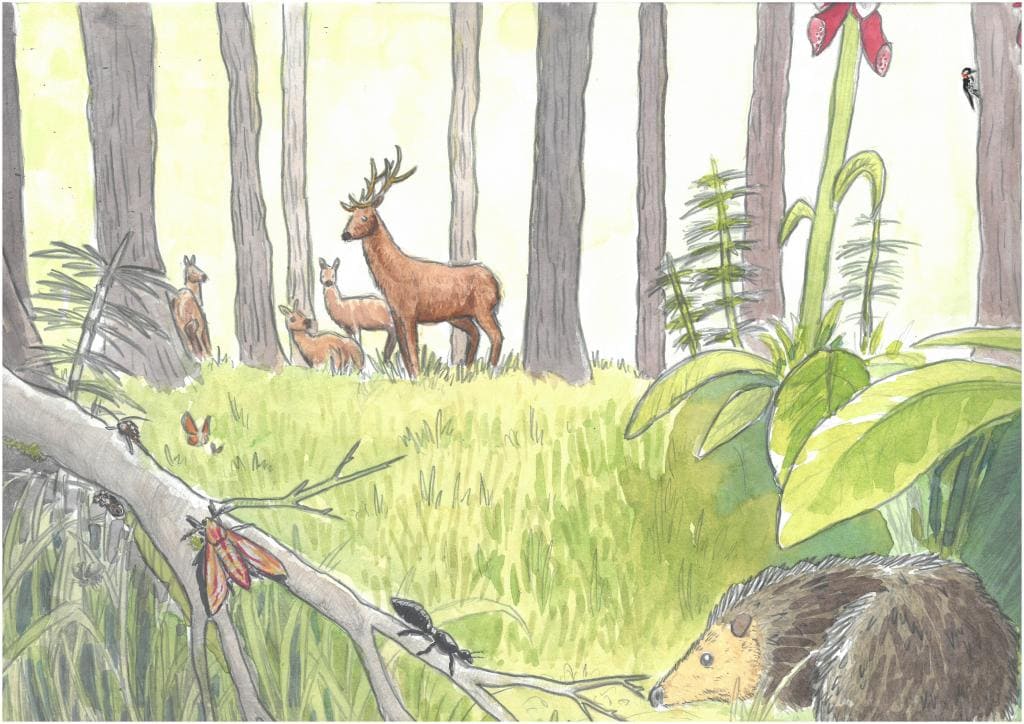 Ross and Leon 12 St Peters C of E Aided School GGE WEB