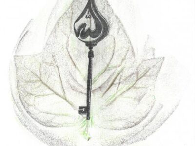 Saif Aged 11 Royal Grammar School HW WEB