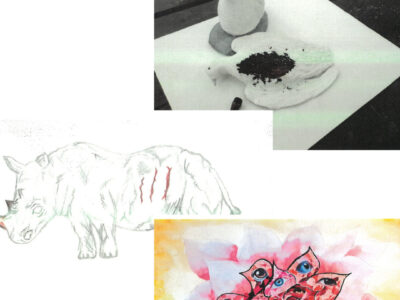 The JS gallery image