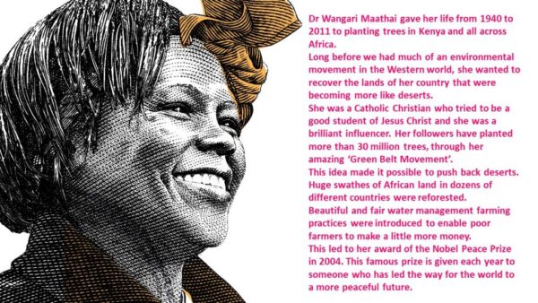 Football and trees ERW4 pic